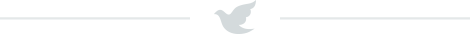 dove-divider